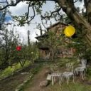 Stays by YourLocalTribe | Stay & travel | Naggar | Himachal 📍