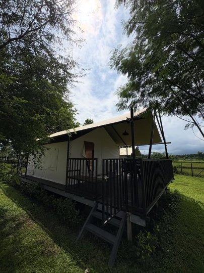 Instagram post by @16ivylacsina: Making the best glamping memories together 🍃 North peeps!! If you are looking for a…