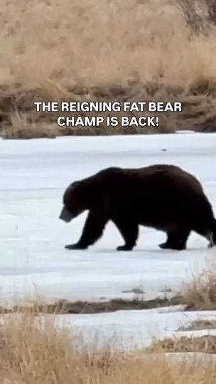Example TikTok post by @nationalparknews