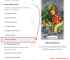 LinkedIn post by Emirhan Bayutmuş: 🚀 Meta Ads News: WhatsApp Ads Are Finally Here! A while ago, we heard that WhatsApp ads…