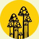 UrbanShrooms