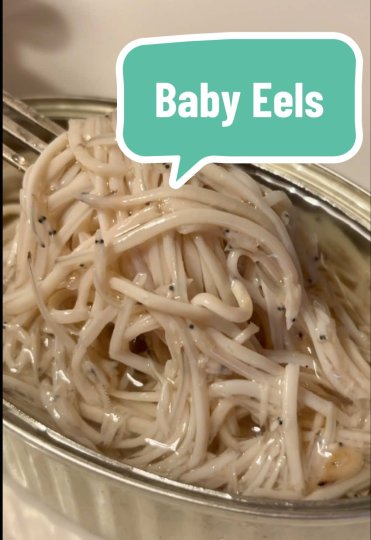 TikTok post by @tinnedfishreviews: Agromar Elvers (Baby Eels) in Spicy Olive Oil. Thank you to Richard for sending these!