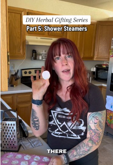 Example TikTok post by @realisticholisticmama