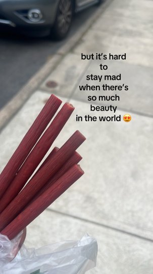 TikTok post by @myheartsoldseperately: The post shares a lighthearted, humorous sentiment about finding beauty in a simple…