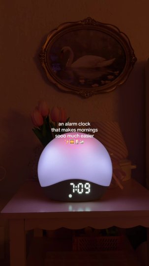 TikTok post by @elizabeeth35: Literally in love with this speaker alarm clock