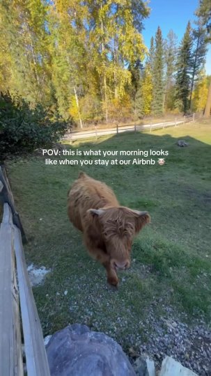 Example TikTok post by @a.montana.experie