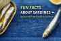 TikTok post by @tinfishta: This post provides four educational facts about tinned sardines to reduce consumer…