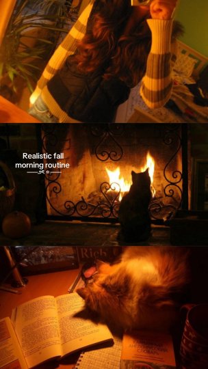 TikTok post by @mauvefall: 5:30-7:00 | Realistic fall morning routine