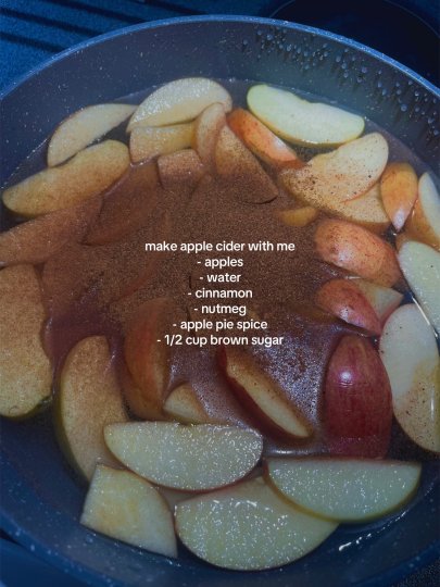 TikTok post by @cyberbarbie00: This post provides a brief, visual guide for making apple cider from scratch. It lists…